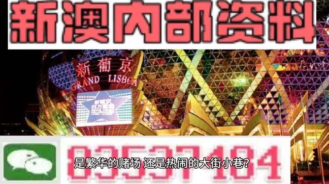 新澳門精準(zhǔn)資料大全管家婆料，探索與解析，澳門精準(zhǔn)資料大全解析，探索管家婆料內(nèi)幕