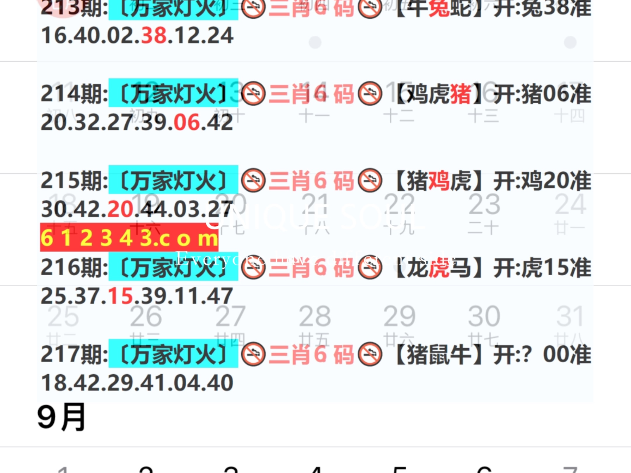 新奧今日六肖中特，揭秘背后的秘密與趨勢分析，揭秘新奧今日六肖中特背后的秘密與趨勢分析
