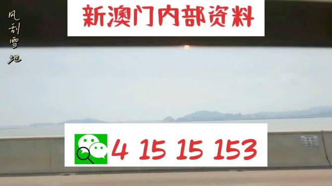 新澳2025最新資料生肖，深度解析與預(yù)測(cè)展望，新澳2025最新生肖資料深度解析與未來(lái)預(yù)測(cè)展望