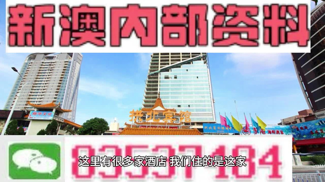 新澳內(nèi)部期期精準，深度解析與SEO優(yōu)化策略，新澳內(nèi)部期期精準深度解析與SEO優(yōu)化策略探討