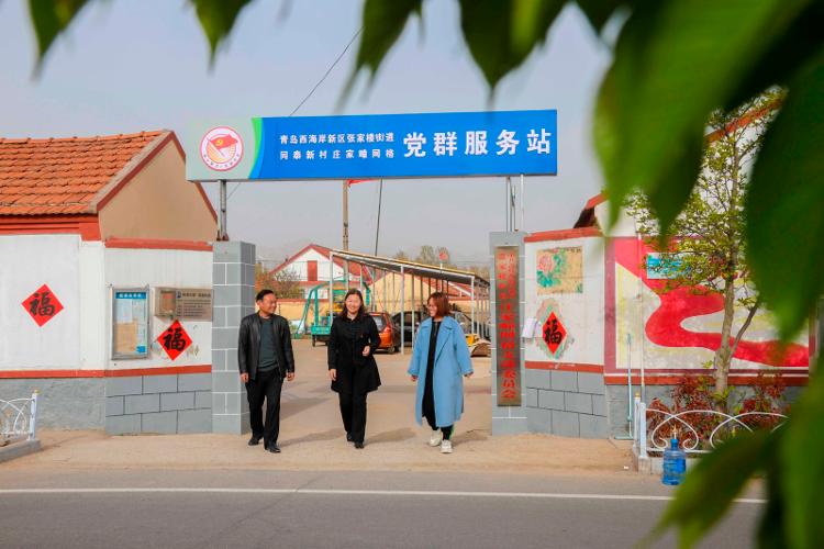 2025新澳天天開彩大全——衣冠群獸探秘，2025新澳天天開彩大全，衣冠群獸探秘之旅