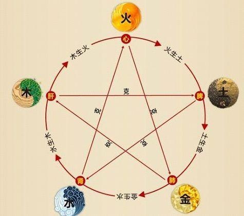 鐵算算盤4887最準(zhǔn)資料，揭秘其背后的秘密與優(yōu)勢，揭秘鐵算算盤4887，最準(zhǔn)資料背后的秘密與優(yōu)勢