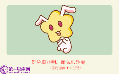 揭秘精準(zhǔn)生肖，探尋神奇的數(shù)字組合777778與888888背后的生肖秘密，揭秘生肖秘密，數(shù)字組合777778與888888背后的生肖傳奇