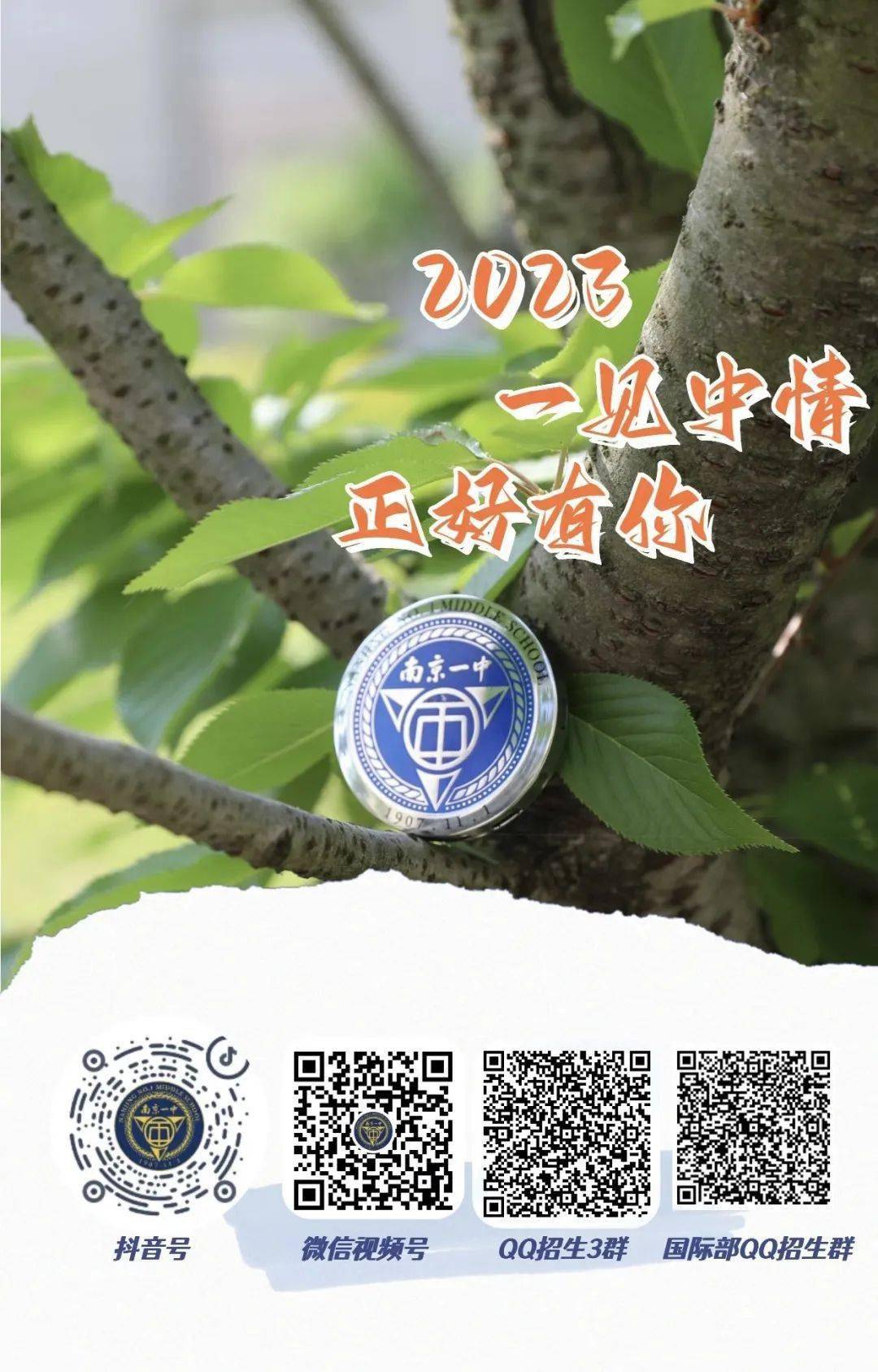 一碼一肖一特一中，揭秘背后的秘密與奧秘，揭秘一碼一肖一特一中背后的秘密奧秘