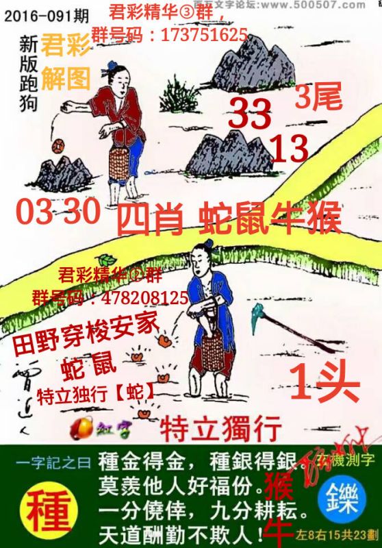 最新熱門游戲跑狗圖下載，7777788888新跑狗圖下載指南，最新熱門游戲跑狗圖下載指南，7777788888新跑狗圖下載全攻略