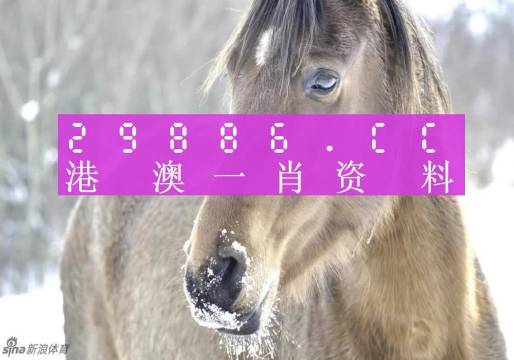 澳門一肖一碼，揭秘一個關于精準預測背后的故事，澳門一肖一碼揭秘，精準預測背后的神秘故事