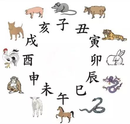 澳門(mén)天天彩期期精準(zhǔn)十二生肖預(yù)測(cè)——揭秘彩票秘密，澳門(mén)天天彩期期精準(zhǔn)十二生肖預(yù)測(cè)，揭秘彩票秘密之獨(dú)家解析