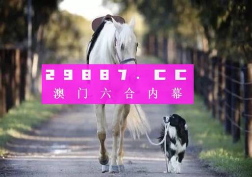 澳門彩的奧秘世界與SEO優(yōu)化策略探討 —— www.04812com的獨家解析，澳門彩奧秘與SEO優(yōu)化策略獨家解析，www.04812com深度探討