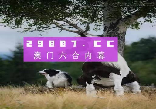 揭秘7777788888精準(zhǔn)新跑狗——全方位解讀與體驗，揭秘精準(zhǔn)新跑狗，全方位解讀與體驗7777788888跑狗秘籍