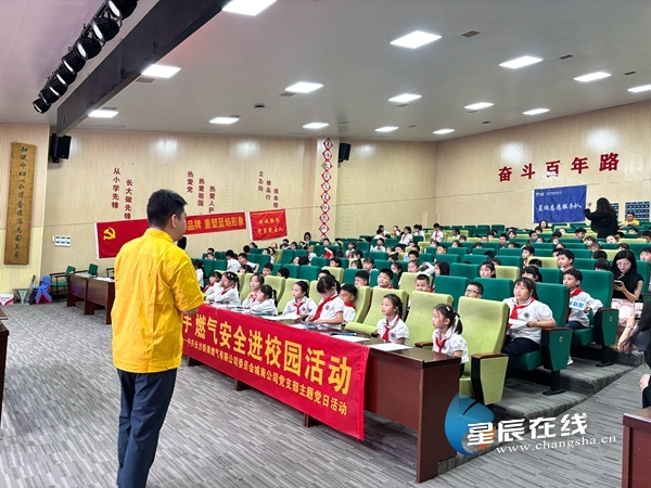 新奧正版資料的SEO優(yōu)化文章，新奧正版資料的SEO優(yōu)化指南