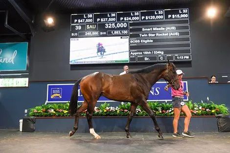 香港最精準的特馬資料，揭秘賽馬世界的秘密，香港精準特馬資料揭秘，賽馬世界的奧秘探秘
