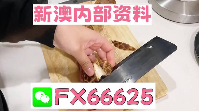 澳門九點半9點半網(wǎng)站——探索其魅力與優(yōu)勢，澳門九點半網(wǎng)站，魅力與優(yōu)勢探索