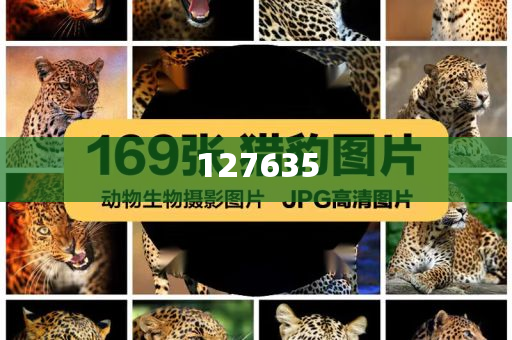 精準(zhǔn)新傳真，揭秘?cái)?shù)字組合7777788888的神秘面紗，揭秘?cái)?shù)字組合7777788888的神秘面紗，精準(zhǔn)新傳真解讀