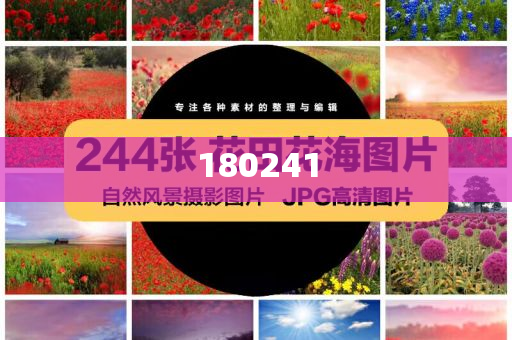 揭秘精準(zhǔn)管家婆狗，77777與88888的神秘面紗，揭秘精準(zhǔn)管家婆狗，神秘?cái)?shù)字77777與88888背后的秘密