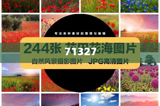 探索777788888管家婆網(wǎng)，一站式解決方案的綜合服務(wù)平臺(tái)，一站式解決方案的綜合服務(wù)平臺(tái)，探索777788888管家婆網(wǎng)