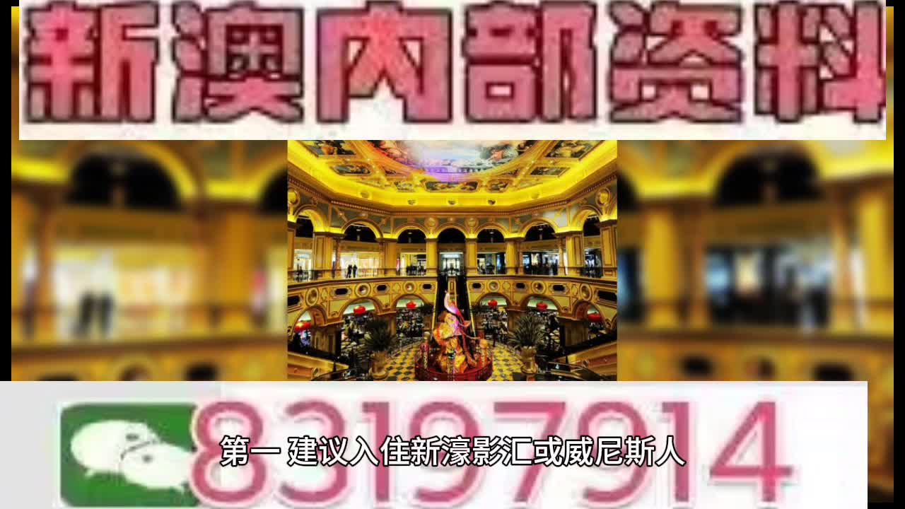 新澳門特馬王，探索與解析，新澳門特馬王，深度探索與解析