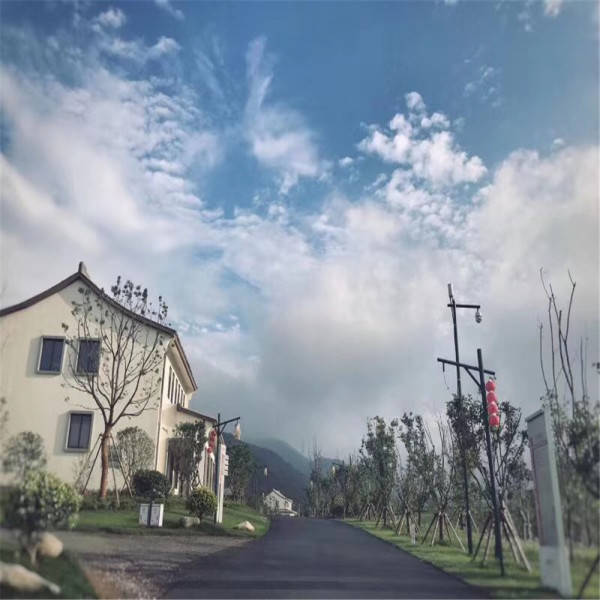 新奧今晚開一肖一特講解詞語，揭秘生肖與特肖的獨特魅力，揭秘生肖與特肖的獨特魅力，新奧今晚一開一特講解詞語