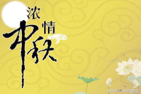 天天開好彩免費(fèi)資料大全——你不可錯(cuò)過的幸運(yùn)之門，天天開好彩免費(fèi)資料大全——開啟幸運(yùn)之門的必備指南