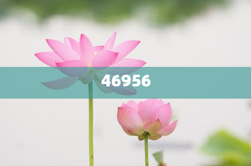 新奧集團(tuán)，邁向2025，天天開好彩的愿景與挑戰(zhàn)，新奧集團(tuán)邁向2025，實(shí)現(xiàn)天天開好彩的愿景與挑戰(zhàn)