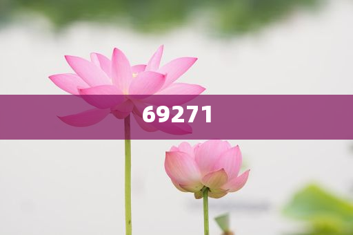 新澳今天晚上9點30分