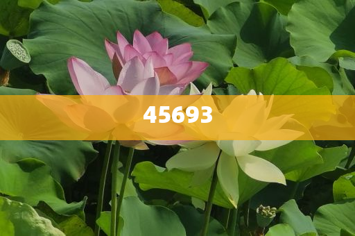 全新升級(jí)，7777888888精準(zhǔn)新管家，全新升級(jí)管家，精準(zhǔn)管理，一站式服務(wù) 7777888888新管家重磅來(lái)襲