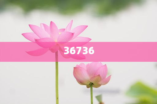 7777788888精準新傳免費