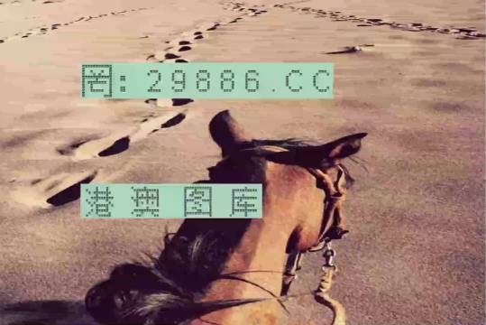 香港特馬資料王中王，揭秘背后的秘密，揭秘香港特馬資料王中王的背后秘密