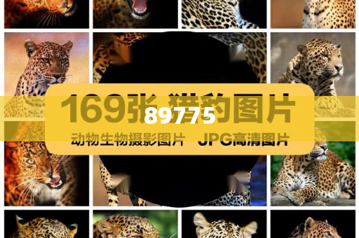 關(guān)于新奧歷史開(kāi)獎(jiǎng)記錄的最新信息，今天公布了嗎？，新奧歷史開(kāi)獎(jiǎng)記錄最新信息公布了嗎？