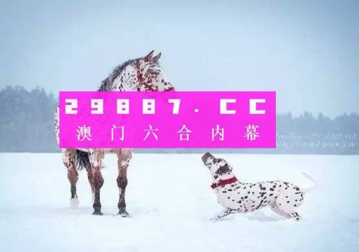 澳門一肖一碼狀元紅，揭秘彩票背后的秘密與策略，澳門彩票揭秘，狀元紅背后的秘密與策略解析