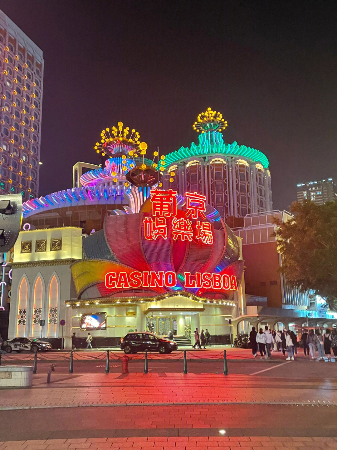 澳門今晚必開一肖一特芳草地，探索生肖與運(yùn)勢的神秘面紗，澳門生肖運(yùn)勢揭秘，探索今晚必開一肖一特芳草地神秘面紗的運(yùn)勢之旅