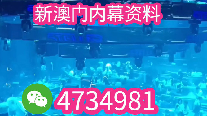 揭秘未來之星，2025新澳王中王，揭秘未來之星，2025新澳王中王風(fēng)采展示