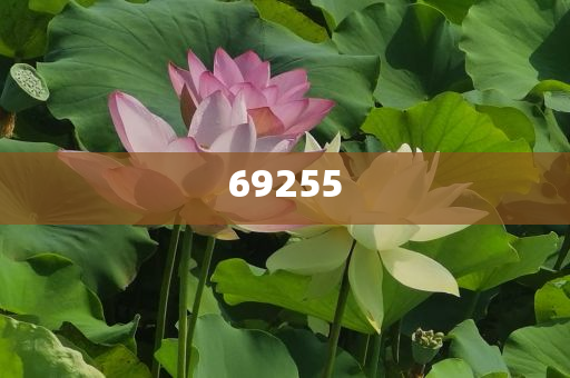 新門(mén)內(nèi)部資料免費(fèi)大全最新版本詳細(xì)介紹，新門(mén)內(nèi)部資料大全最新版詳解