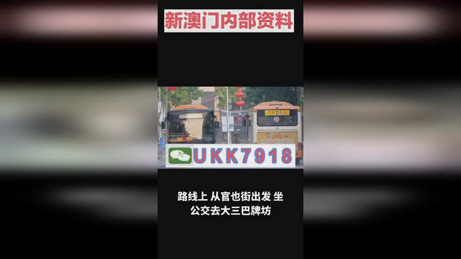 揭秘澳門今晚開獎(jiǎng)號(hào)碼，預(yù)測(cè)與策略走向，澳門今晚開獎(jiǎng)號(hào)碼揭秘與預(yù)測(cè)策略走向探討