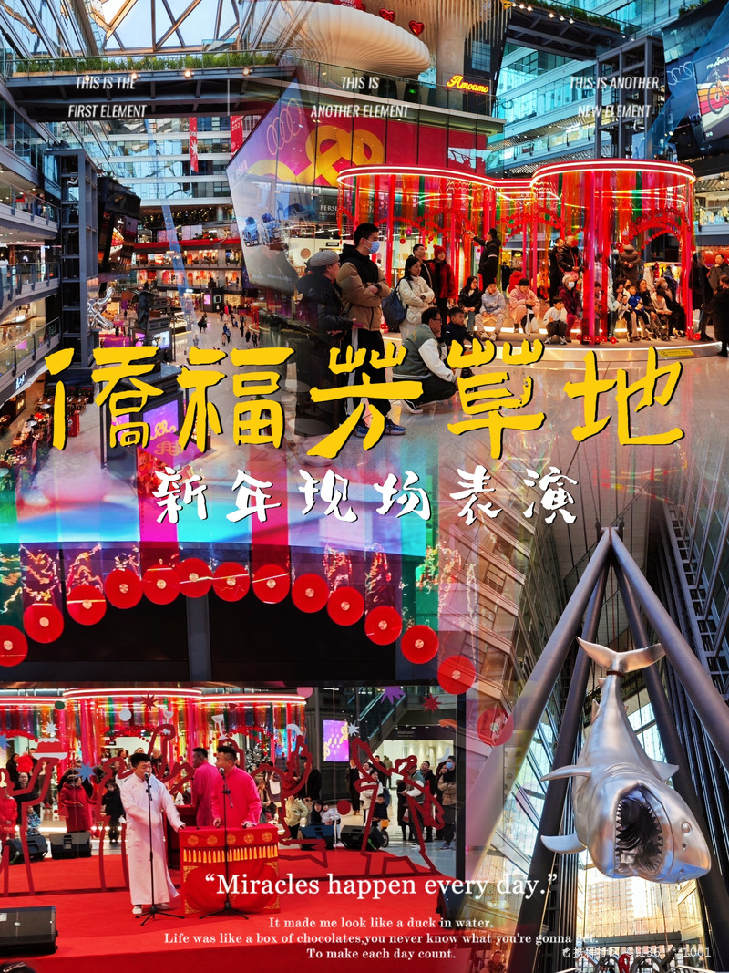 最新揭秘，2024新澳芳草地全方位資料詳解，揭秘2024新澳芳草地全方位資料，最新詳解