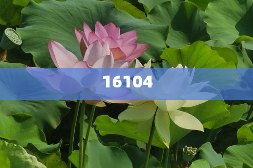 新奧600圖庫2025，探索與前瞻，新奧600圖庫2025，深度探索與未來展望