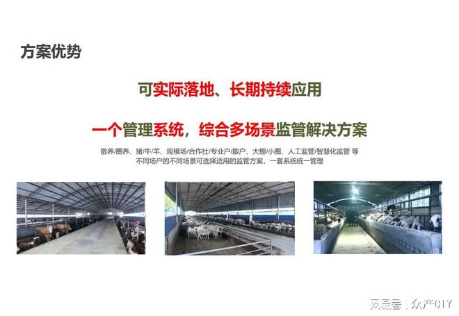 探索新澳芳草地，正版資料的免押之旅（2025年最新資訊），探索新澳芳草地，正版資料免押之旅（最新資訊）