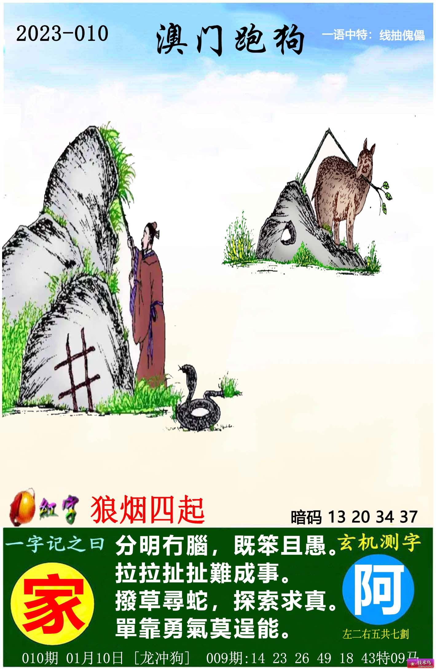 最新更新內(nèi)容，探索7777788888跑狗圖的奧秘，揭秘跑狗圖奧秘，最新更新探索7777788888的神秘面紗