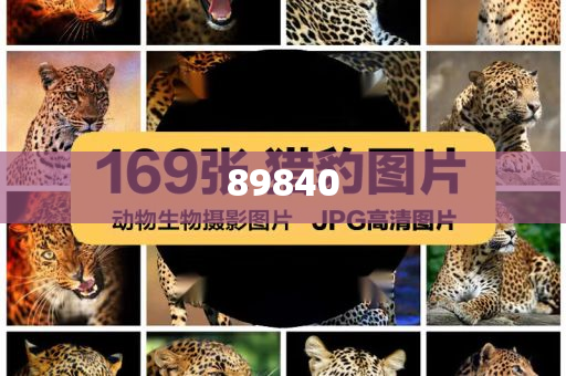 2025新奧最新資料五不中