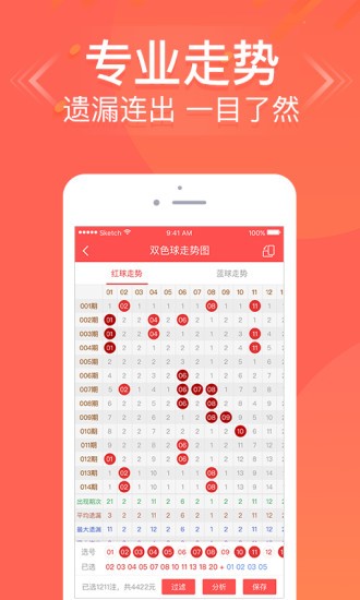 王中王六肖中特免費(fèi)公開，深度解析與SEO優(yōu)化策略，王中王六肖中特解析與SEO優(yōu)化策略免費(fèi)公開