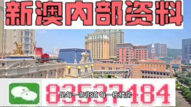 新澳門最精準(zhǔn)正最精準(zhǔn)龍門——探索澳門的魅力與機(jī)遇，澳門魅力與機(jī)遇探索，新澳門最精準(zhǔn)龍門