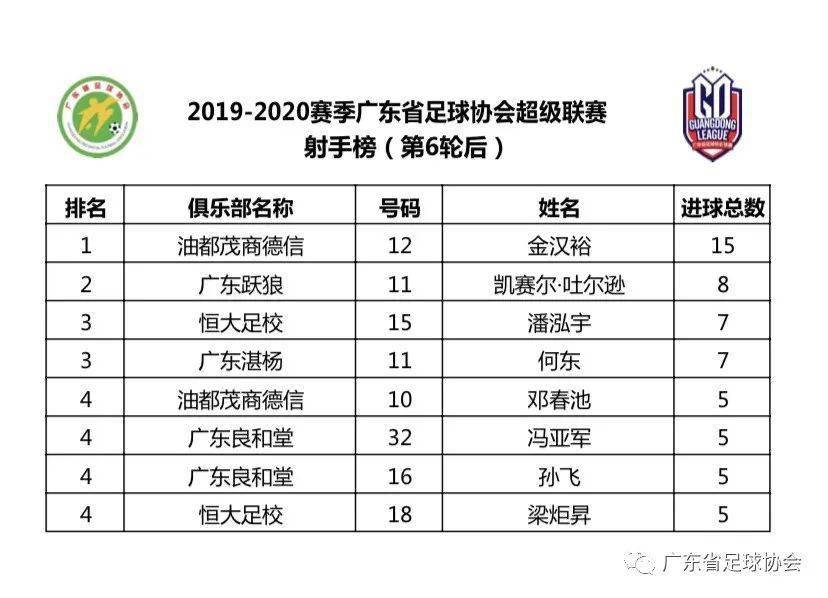 澳門六開獎結(jié)果2020年回顧與解析，澳門六開獎結(jié)果回顧與解析，2020年數(shù)據(jù)深度解讀