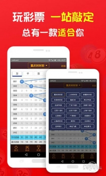 揭秘2019王中王一肖，成功背后的故事與秘密，揭秘王中王一肖的成功之路，背后的故事與秘密