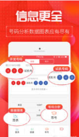王中王一肖碼，探索數(shù)字世界的奧秘，王中王一肖碼，數(shù)字世界奧秘的探索