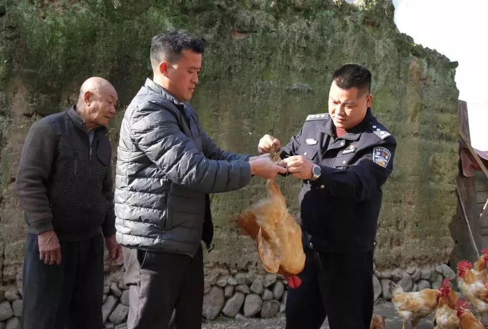 免費(fèi)預(yù)測背后的秘密