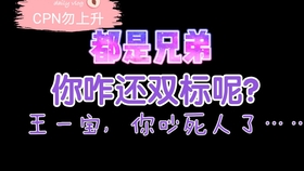 一肖二肖是什么意思——深度解析中國民俗中的生肖文化，深度解析中國民俗中的生肖文化，一肖二肖的含義與故事