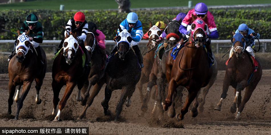 王中王內(nèi)部必中一肖——揭秘彩票背后的秘密，揭秘彩票王中王內(nèi)部必中一肖的神秘秘密