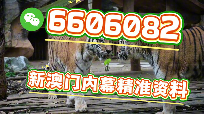 澳門今晚必開一肖一特，深度解析與預(yù)測，澳門今晚生肖特碼深度解析與預(yù)測，一肖一特必開趨勢探討