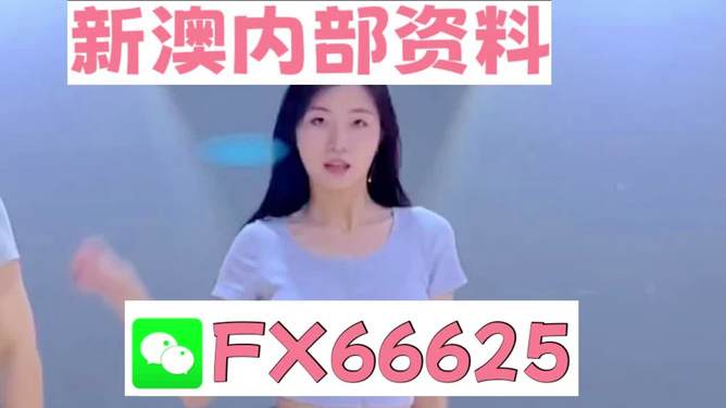 新澳門精準(zhǔn)資料大全——管家婆料解析與探索，澳門精準(zhǔn)資料大全，管家婆料解析與深度探索