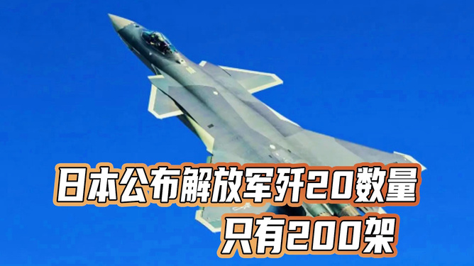 關(guān)于日本公布?xì)?20數(shù)量的探討，日本公布?xì)?20數(shù)量的深度探討