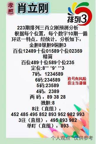 王中王三肖一碼資料，深度解析與SEO優(yōu)化策略，王中王三肖一碼資料深度解析與SEO優(yōu)化策略全攻略